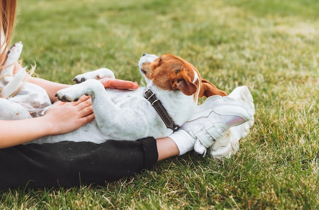 Una niña pequeña rasca el vientre de su perro Jack Russell Terrier Un perro feliz está acostado sobre la hierba verde en el parque una mascota