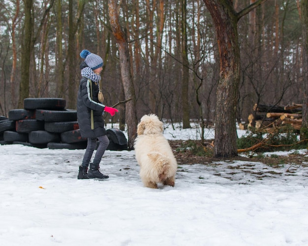 Una niña y un perro caniche real en invierno