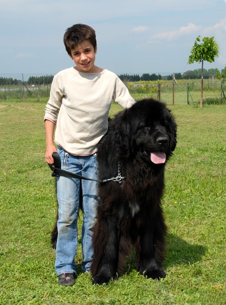 Niña y perro grande