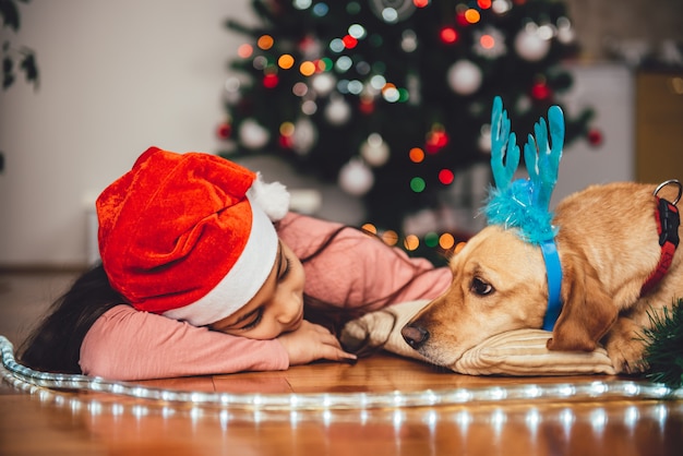 Niña y perro que se establecen por el árbol de navidad