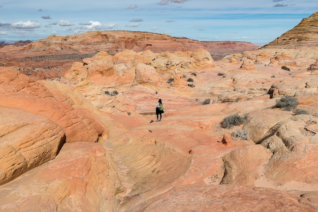 Niña de pie en la cima del desierto de roca, camino a la ola