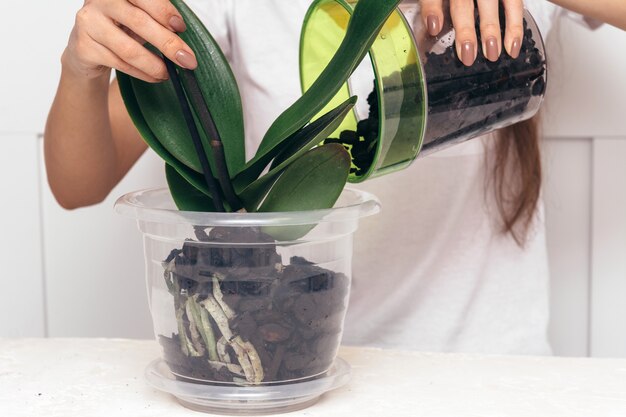 Niña plantando flores en una maceta transparente