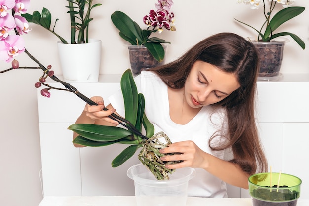 Niña plantar flores de orquídeas en una maceta transparente