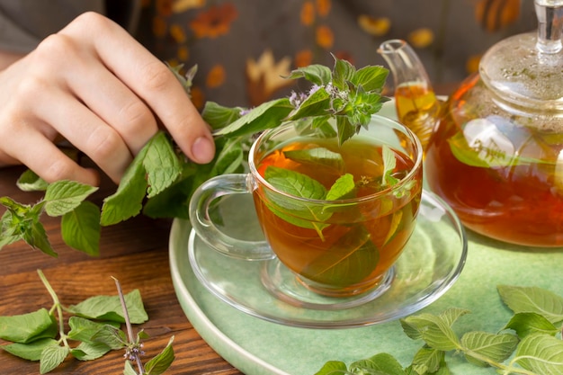 La niña pone menta en una taza de té verde Alimentos saludables antioxidantes
