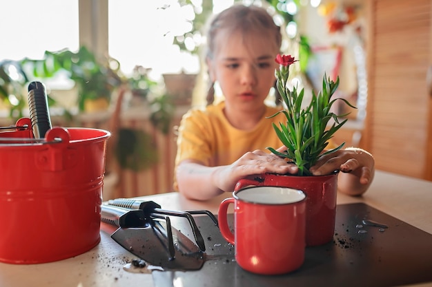 Niña preadolescente replantando flores verdes en taza roja plantas verdes en macetas en casa decoración floral para el hogar