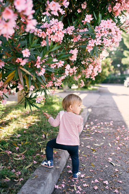 Niña puso su pie en la acera junto a la carretera cerca de un arbusto en flor