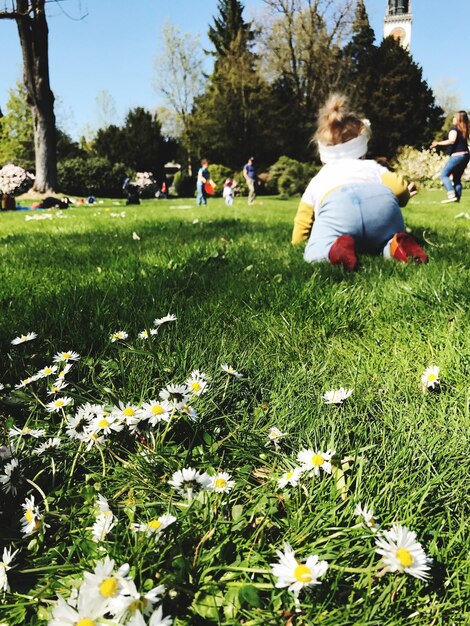 Foto niña que se arrastra por el campo de hierba