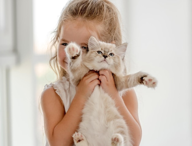 Niña, con, ragdoll, gatito