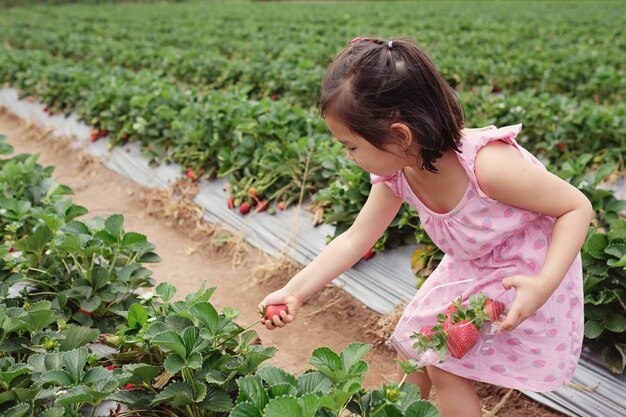 niña recogiendo fresas en la granja