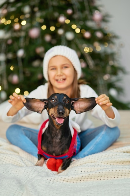 Una niña se ríe con su amigo, un perro salchicha, cerca del árbol de Navidad