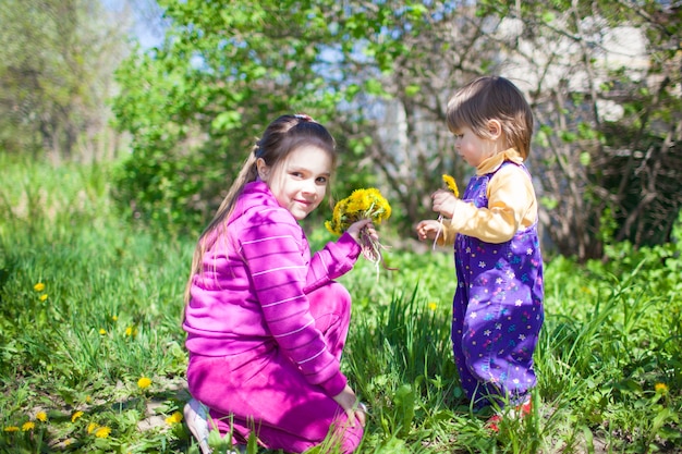 Niña sentada sobre la hierba y dando flores de diente de león amarillo floreciente al niño pequeño