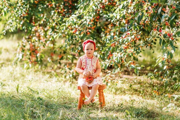 Niña sentada en un taburete de madera en un campo de cerezos con cerezas en sus manos