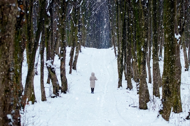 Una niña solitaria camina en el parque en invierno durante una nevada