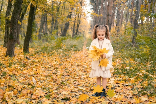 niña sonriente y feliz con abrigo y vestido sosteniendo hojas de otoño, divirtiéndose en el bosque de otoño