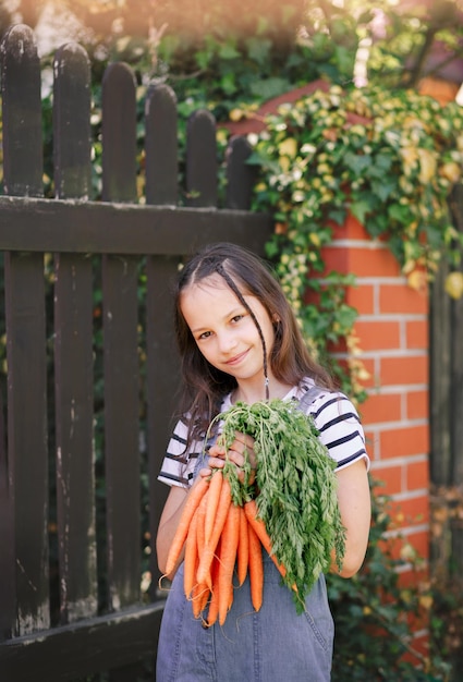La niña sonriente en un jardín sostiene un manojo de zanahorias frescas Vertical