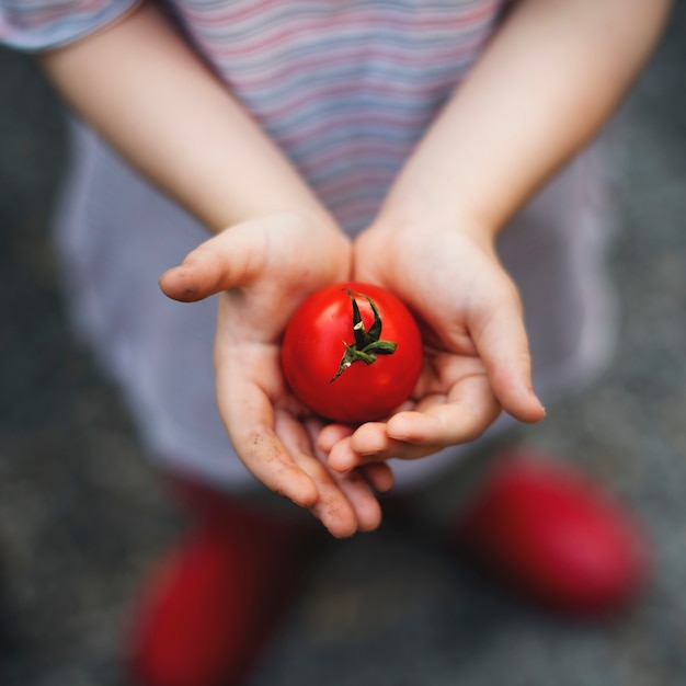 Niña sosteniendo un tomate