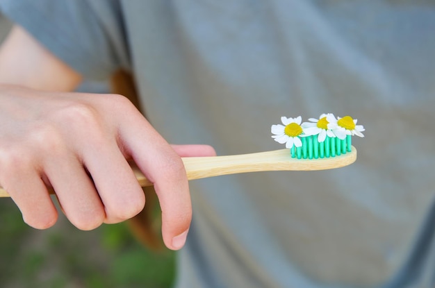 Foto la niña sostiene un cepillo de dientes con manzanilla en la mano enfoque selectivo en el cepillo de dientes y la manzanilla