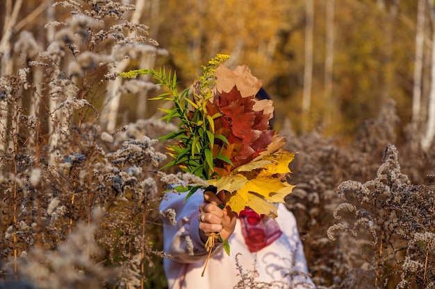 Una niña sostiene un colorido ramo de hojas de otoño. De cerca.