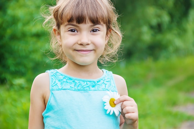 La niña sostiene flores de manzanilla en sus manos. Enfoque selectivo