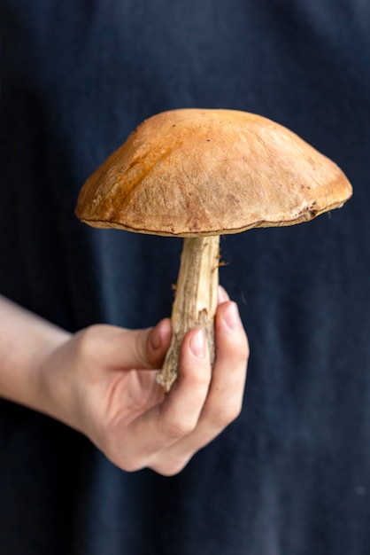 La niña sostiene un hongo boletus comestible en su mano Comida vegetariana Comida rica en proteínas y fibra