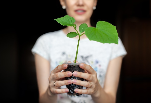 La niña sostiene una maceta negra con una planta verde sobre un fondo oscuro. Plántulas de pepinos en una maceta, listas para plantar en el suelo. Protección del medio ambiente. Respeto por la naturaleza