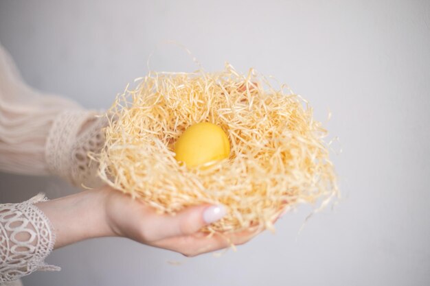 Foto una niña sostiene un nido con un huevo de color amarillo sobre un fondo blanco pascua