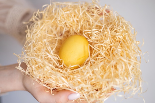 Foto una niña sostiene un nido con un huevo de color amarillo sobre un fondo blanco pascua