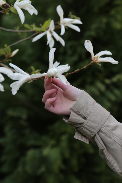 La niña sostiene una rama con una magnolia blanca en la mano.