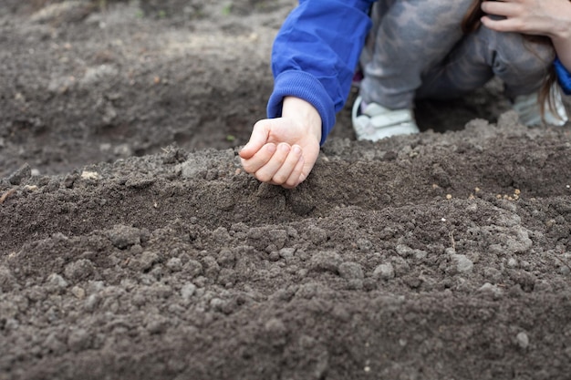 Una niña sostiene semillas en la mano para plantar.