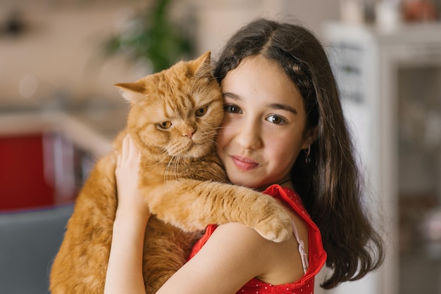 Foto niña sostiene a su gato británico rojo en sus brazos y se sienta con él en el sofá en casa