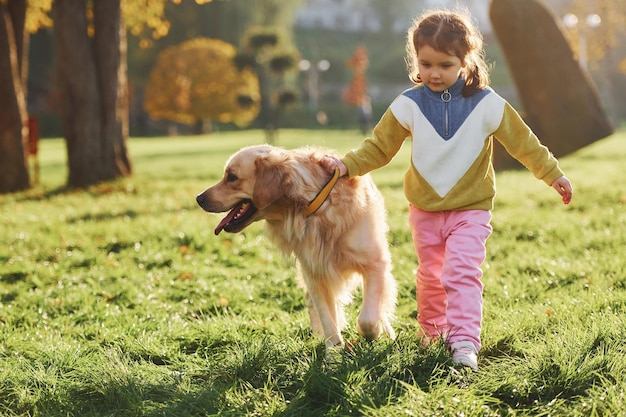 La niña tiene un paseo con el perro Golden Retriever en el parque durante el día