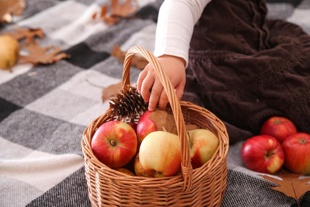 Una niña toma una manzana de una canasta con manzanas afuera en un soleado día de otoño