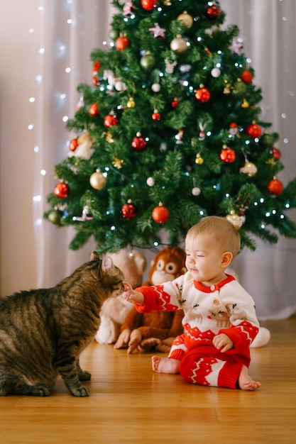 Una niña con un traje de punto rojo y blanco está acariciando a un gato frente a un árbol de Navidad. Foto de alta calidad