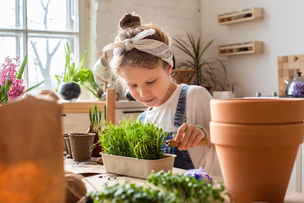 Niña trasplanta flores y plantas de interior un niño en un pañuelo planta bulbos y microvegetales