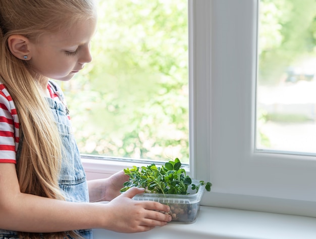 Una niña en la ventana observa cómo crecen los guisantes