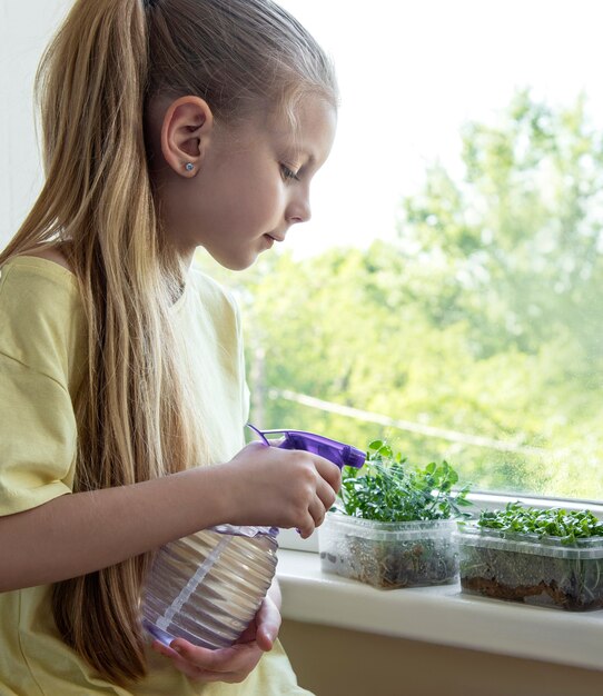 Una niña en la ventana observa cómo crecen los microverdes.