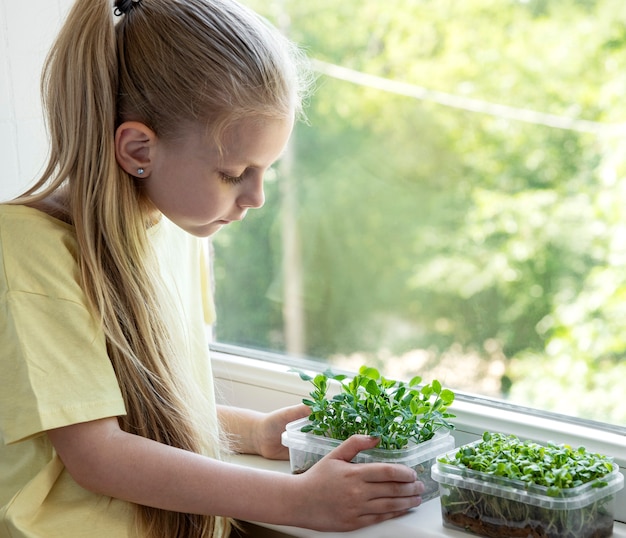 Una niña en la ventana observa cómo crecen los microverdes.