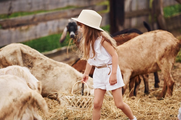 Una niña vestida de blanco está en la granja en verano al aire libre con cabras