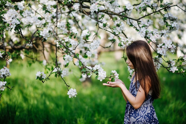 Una niña con un vestido azul largo disfruta del aroma de los manzanos en flor en el jardín. Jardín floreciente.