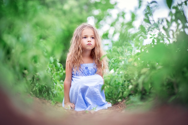 La niña en un vestido azul se sienta en una plantación de tomates y anhela