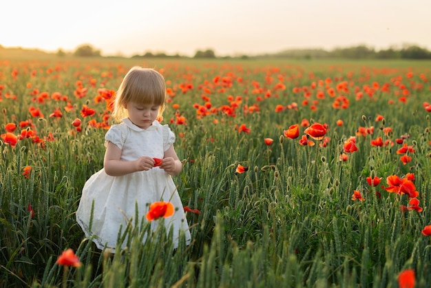 Niña con un vestido blanco en un campo de amapolas al atardecer