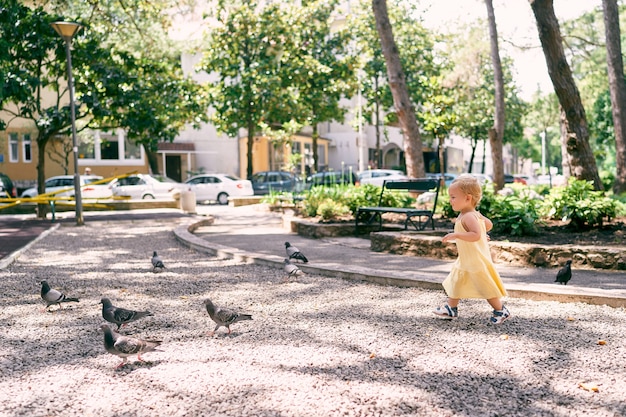 Niña en un vestido camina por el camino de grava en el parque a las palomas