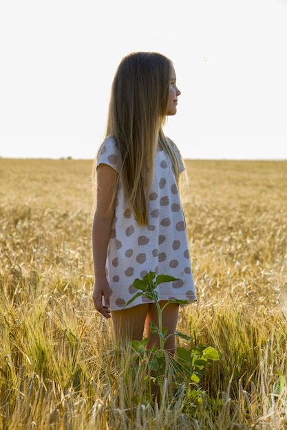 Una niña con un vestido en un campo de trigo.