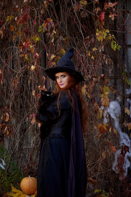 una niña con un vestido negro y un sombrero de bruja en Halloween con un gato negro en el parque