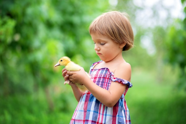 Niña en un vestido de verano juega con un patito en la naturaleza en la hierba