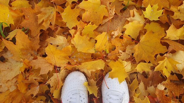 Niña con zapatos blancos en hojas amarillas de naranja en el jardín y muchos árboles de otoño cerca de las casas la naturaleza de fondo colorido