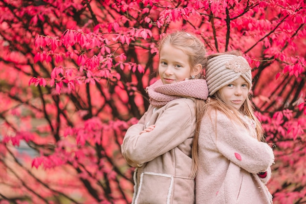 Niñas adorables al aire libre en el cálido día soleado de otoño