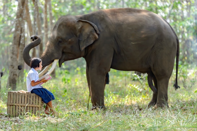 Niñas en áreas rurales de Tailandia Leyendo libros después de la escuela En la plantación de caucho alrededor de su casa