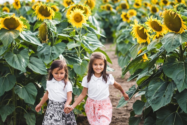 Niñas entre un girasol entre un campo de girasoles en la noche. Concepto de verano, temporada del año. De cerca.