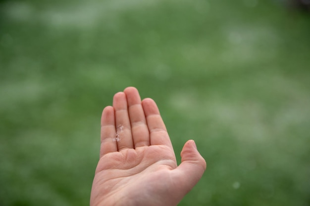 Niñas con la mano abierta con un pequeño copo de nieve en el fondo verde natural